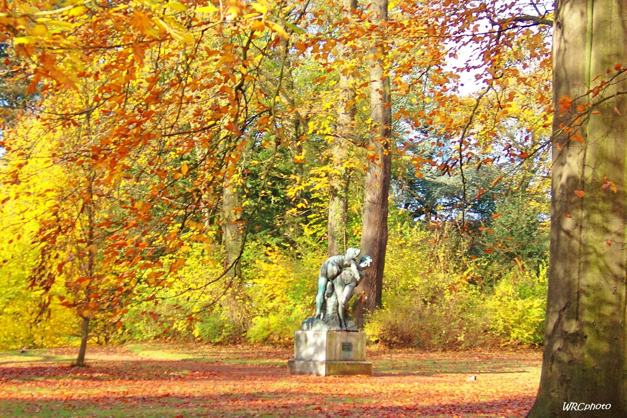 Automne au parc de Mariemont, Morlanwelz. Mes photographies
