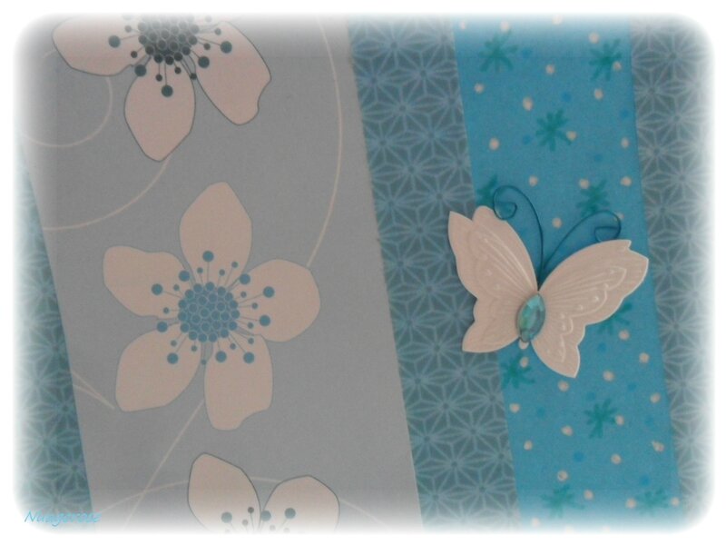 carte papillon (2)
