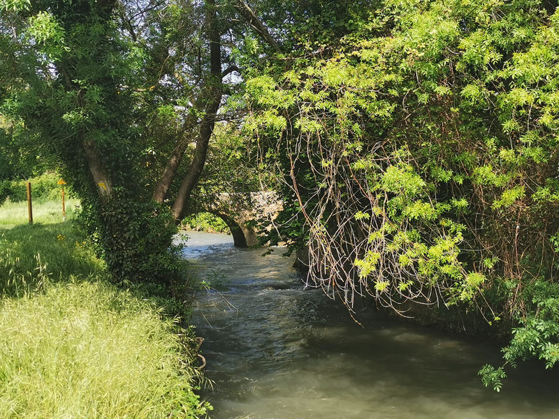 IMG-20220425-WA0026