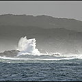 SPLENDIDE_SWELL____SPOT__I_TUNNAROTI_