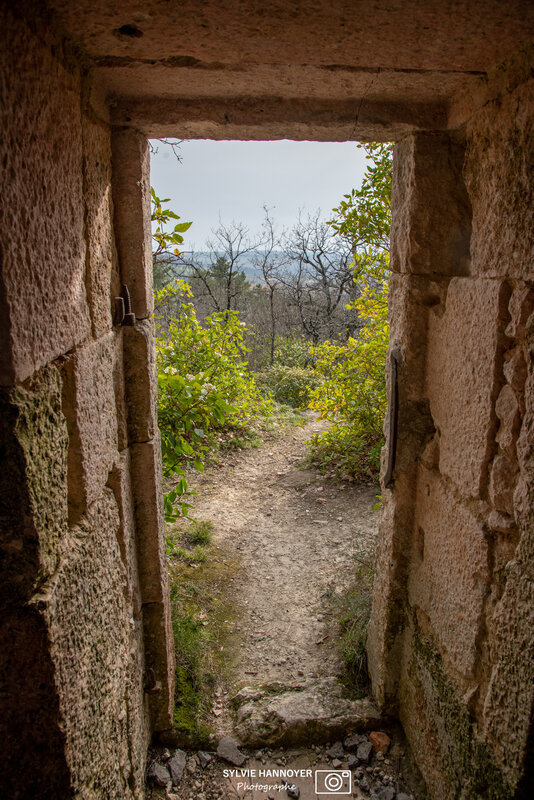 DSC_0531-2