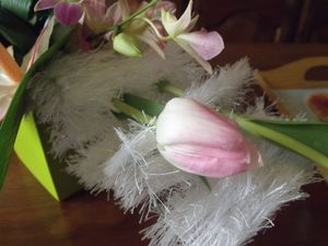 DSCF5119 13