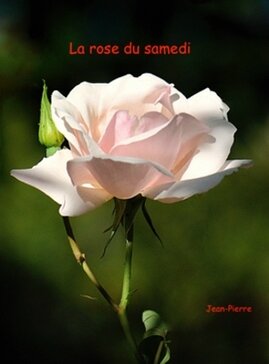 La Rose Du Samedi Soene Aux Mots Passant