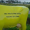 SINNAMARY VACHE 3