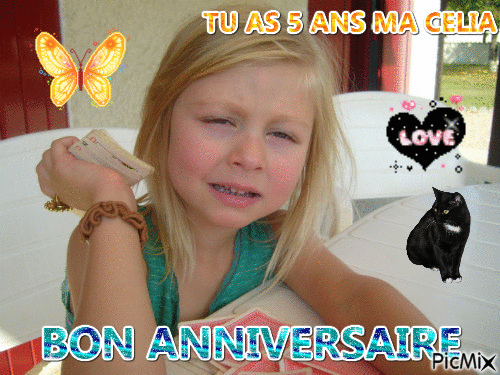 Joyeux Anniversaire Ma Princesse Le Retour De Martine