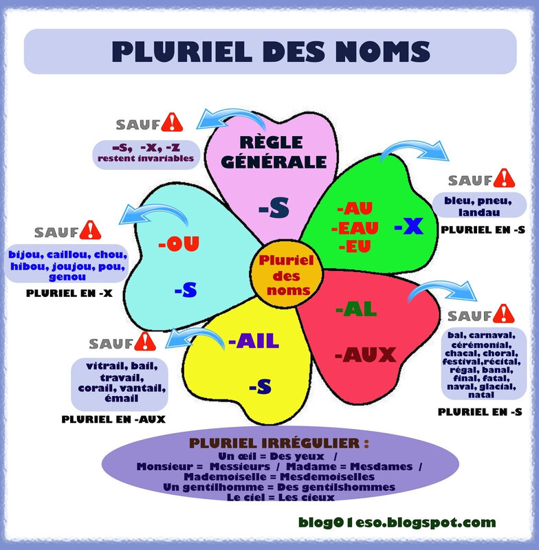 français grammaire pluriel des noms et des adjectifs en s ou x ou z