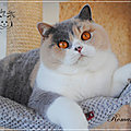 _DSC0915