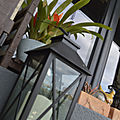 _DSC0028