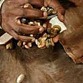 meilleur voyant marabout africain - chance -amour - travail - argent