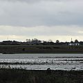 IMGP1366