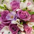 Joyeux anniversaire cécile !