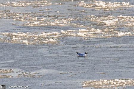 Loire-glace