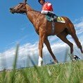 Arranca la temporada de primavera en La Zarzuela