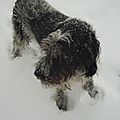 Moi je dis blanc !
