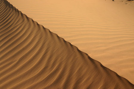 dune01