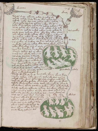 A_Voynich