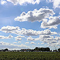 IMG_2460
