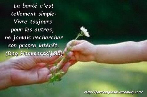 La Bonte Simplicite Dag Hammarskjold Citation Vois Et Viens