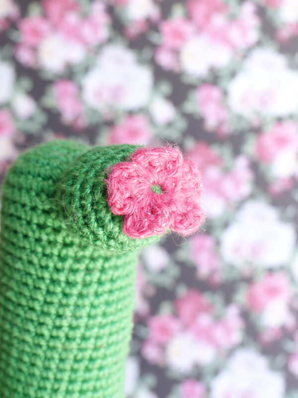 cactus-crochet-livre-caro-tricote-my-sweet-home-editions-eyrolles-03