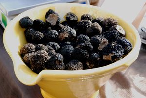 Drome_provencale_059