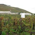 Rhône Nord-2 2006 029