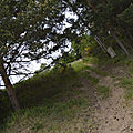 _DSC0272