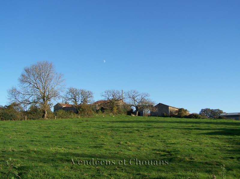 Les Noyers 4