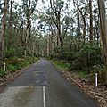 DSC09497