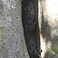 P1120981