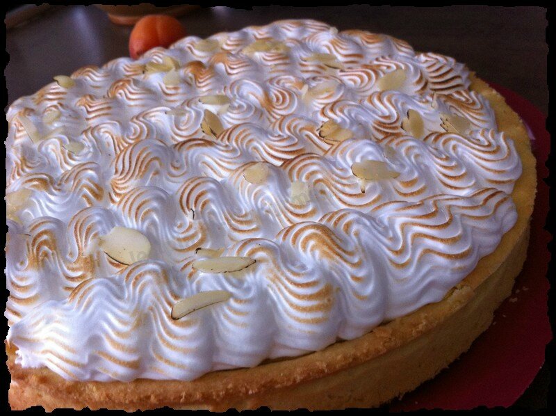 Sarmă Rural Oţet Recette Tarte Cyrano Abricot Et Noix De Coco Avec Meringue Peggytassignon Com