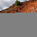 P1130752