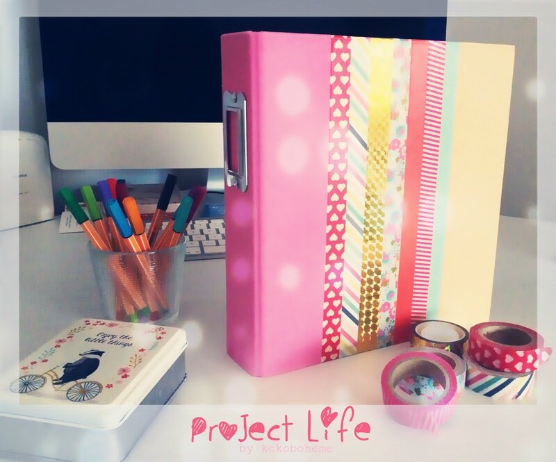 Project life