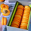 Macaron abricot
