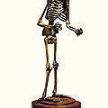 Squelette en bronze, XIXe siècle