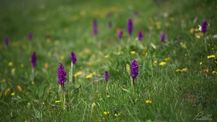 Prairie_12 27 05_9147