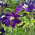 20190622_121612