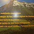 charteuse dfam (46)