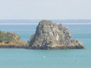 IMGP2945