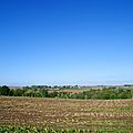_IGP0165