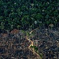 Brésil : autoroute et déforestation
