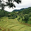 thai044