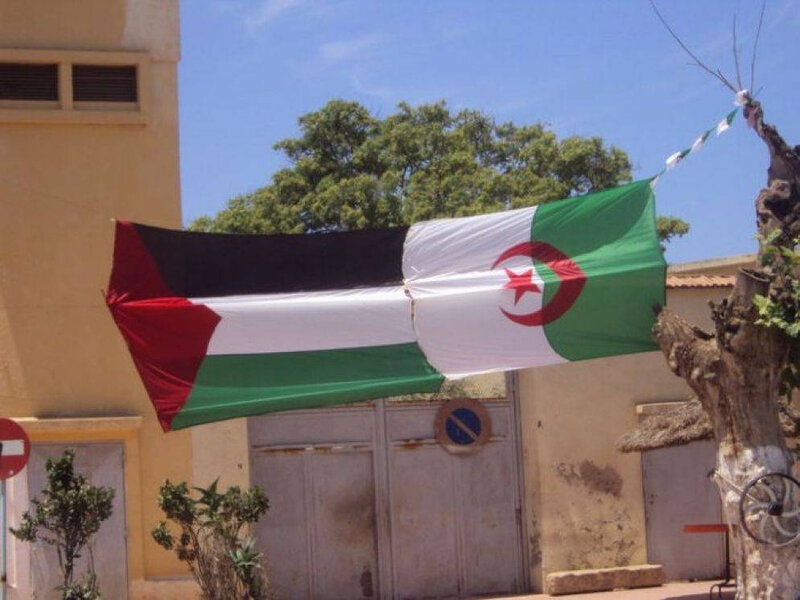 palestine-algerie