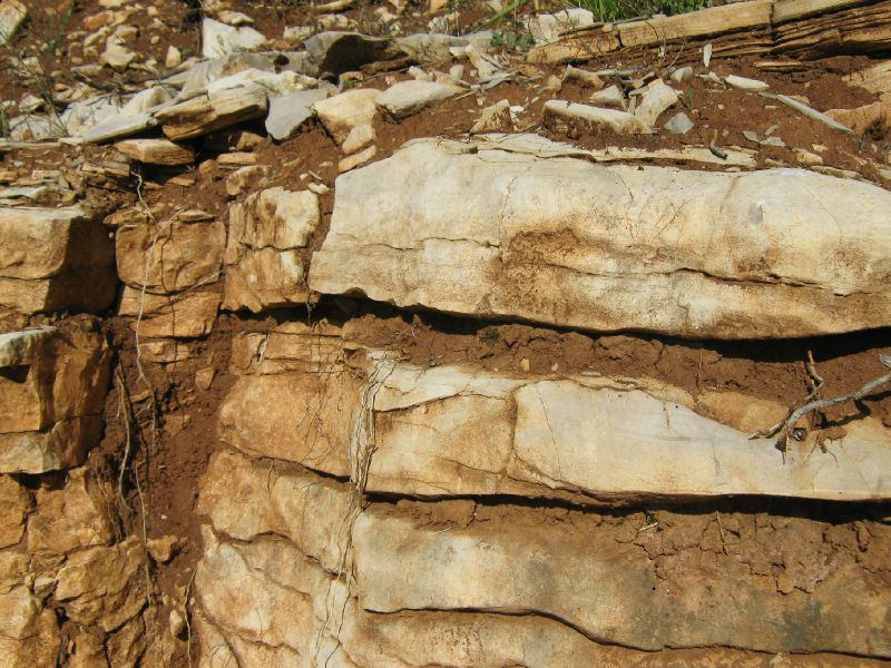 RENDISOL fersiallitique (2)