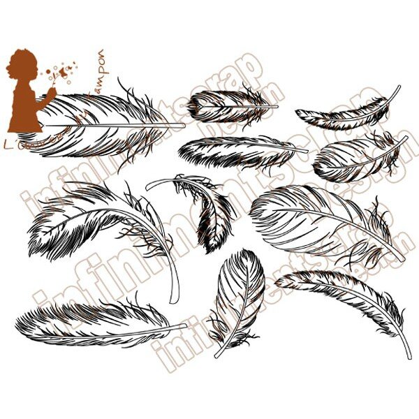planche plumes