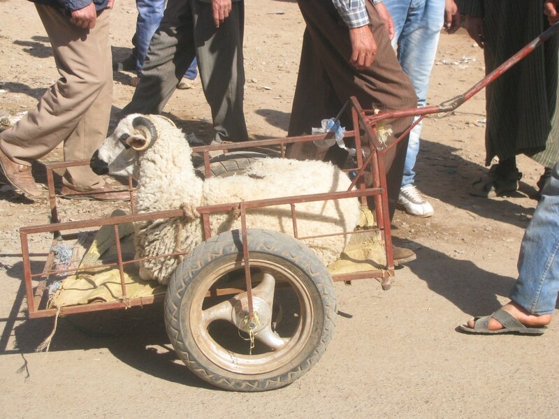 souk Tnine Ourika -Aid (5)