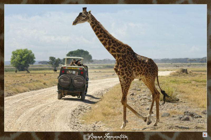 Kenya 7b