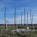 IMGP2528