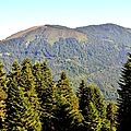 Le Pic Soulaing, 1589m, depuis les prairies.
