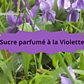15 VIOLETTES(2)Sucre Parfumé à la Violette