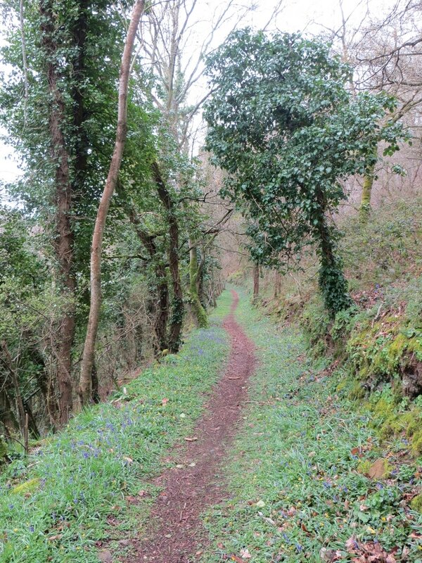 forêt